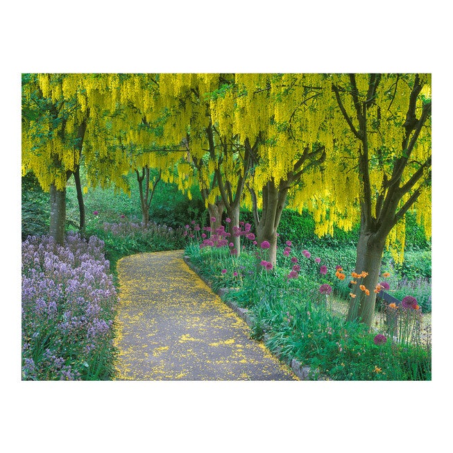 All Weather All Season Outdoor Canvas Art, MULTI, hi-res image number null