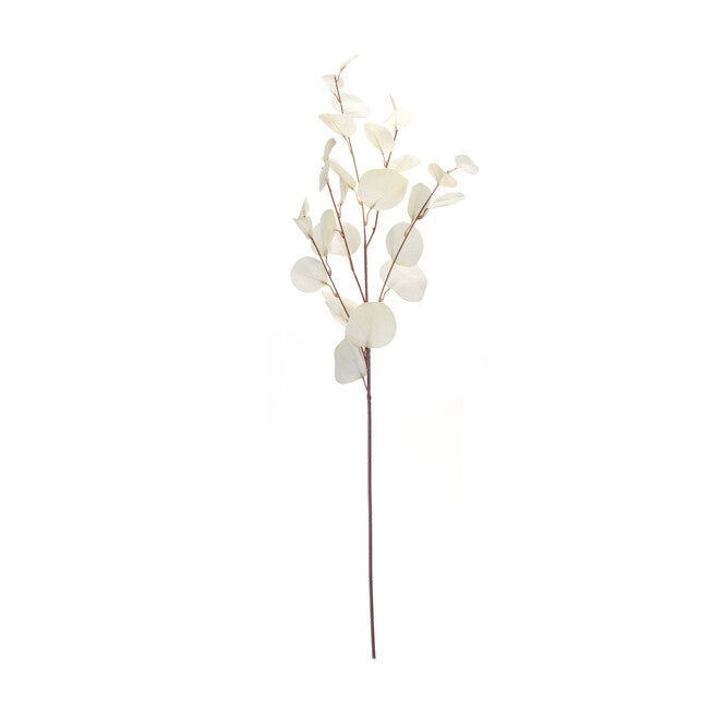 Silver Dollar Eucalyptus Leaf Spray (Set Of 6), , alternate image number null