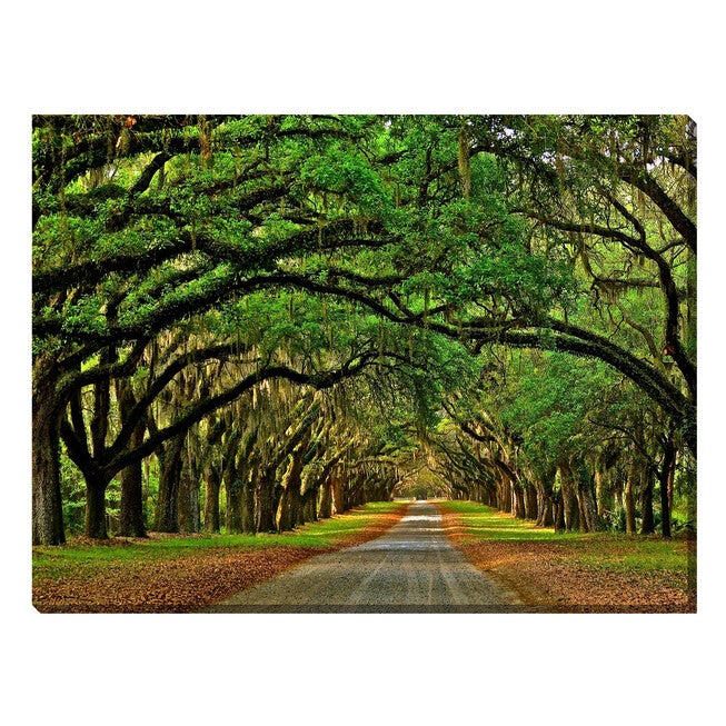 Avenue of The Oaks Outdoor Canvas Art, MULTI, hi-res image number 0