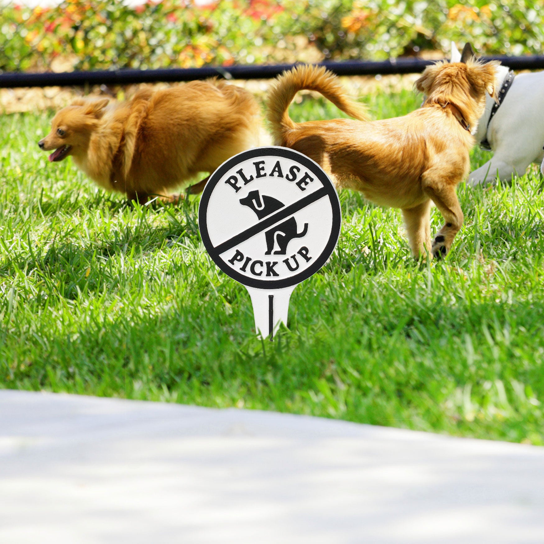 Please Pick Up Dog Courtesy Lawn Stake, , alternate image number 2