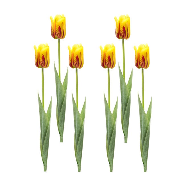 Yellow And Red Tulip Stem (Set Of 6), , alternate image number 3