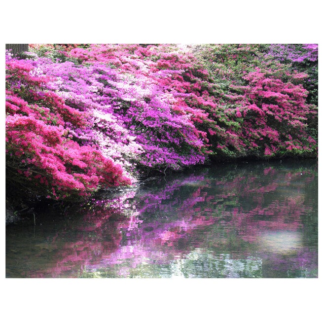 Azalea Artistry Outdoor Canvas Art, MULTI, hi-res image number 0