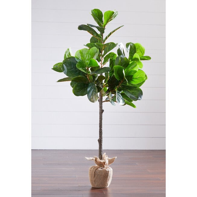4¼' Fiddle Leaf Fig Tree with Burlap Wrap, GREEN, hi-res image number 0