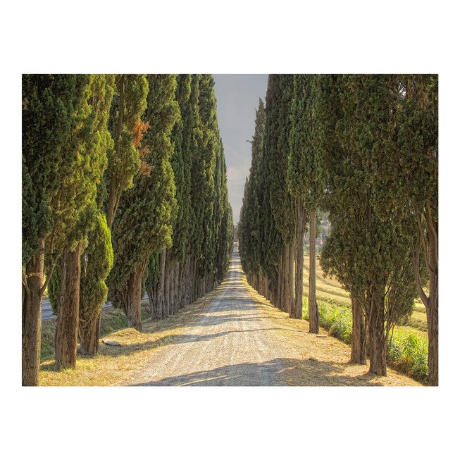 All Weather All Season Outdoor Canvas Art, MULTI, hi-res image number 0