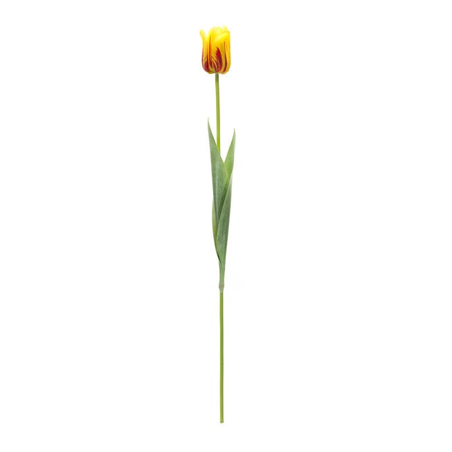 Yellow And Red Tulip Stem (Set Of 6), , alternate image number 2