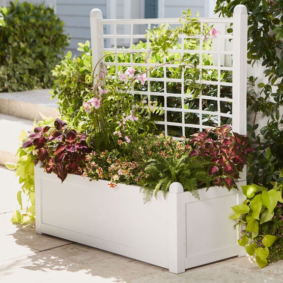 Flower Box With Trellis Fullbeauty Outlet