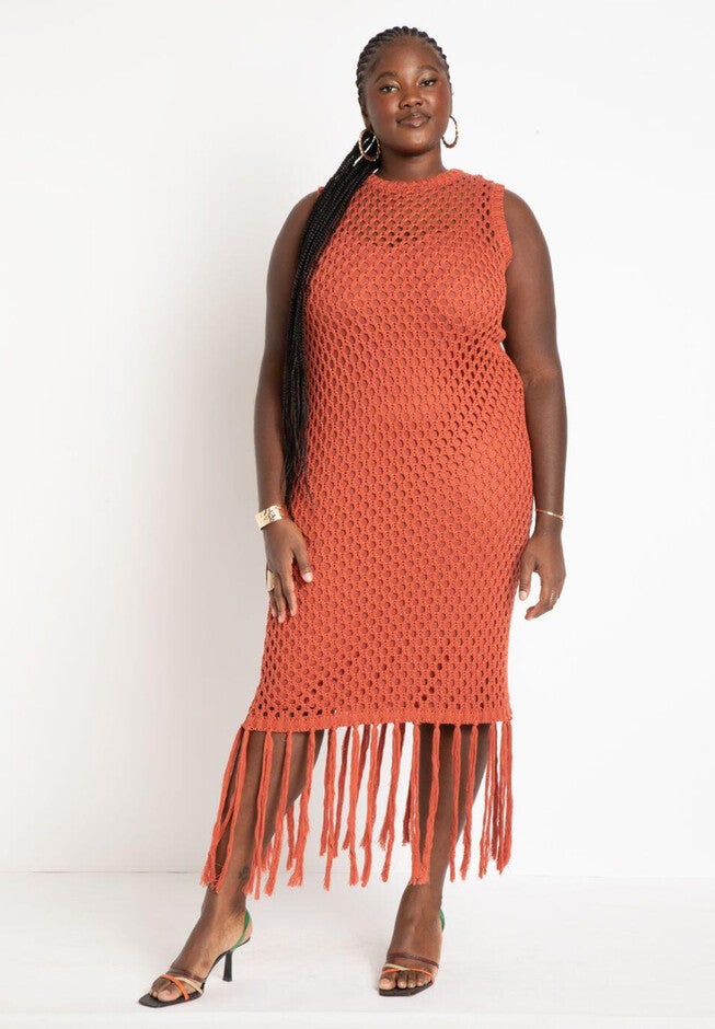Netting Dress With Fringe Hem, BARN RED, hi-res image number null