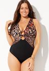 Center Ring Plunge One Piece Swimsuit, , alternate image number null