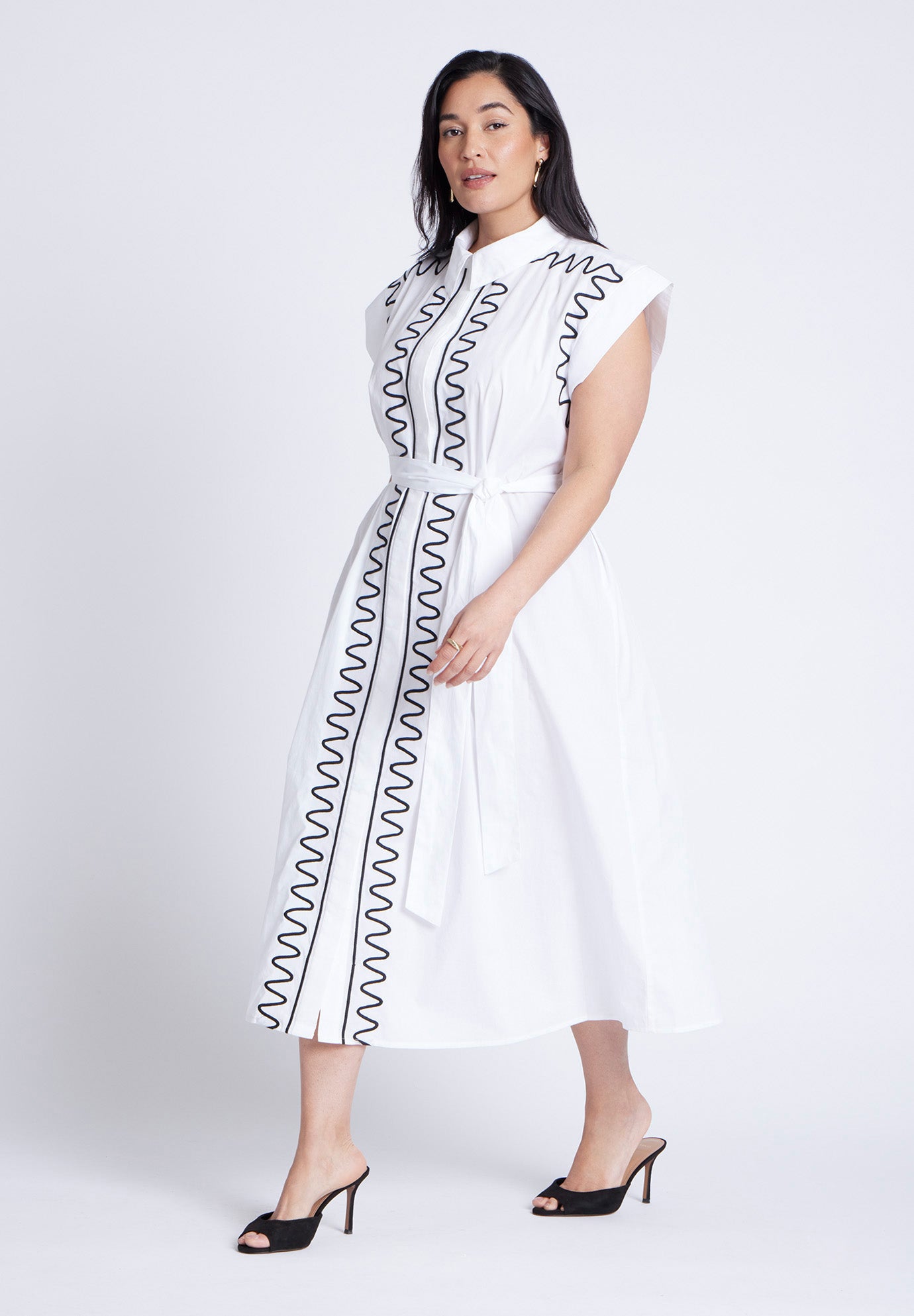 Embroidered Midi Dress image number 1