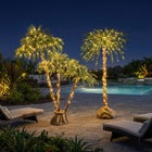6 Ft. Pre-Lit Three-Branch Palm Tree image number null