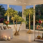 6 Ft. Pre-Lit Three-Branch Palm Tree image number null
