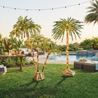6 Ft. Pre-Lit Three-Branch Palm Tree image number null