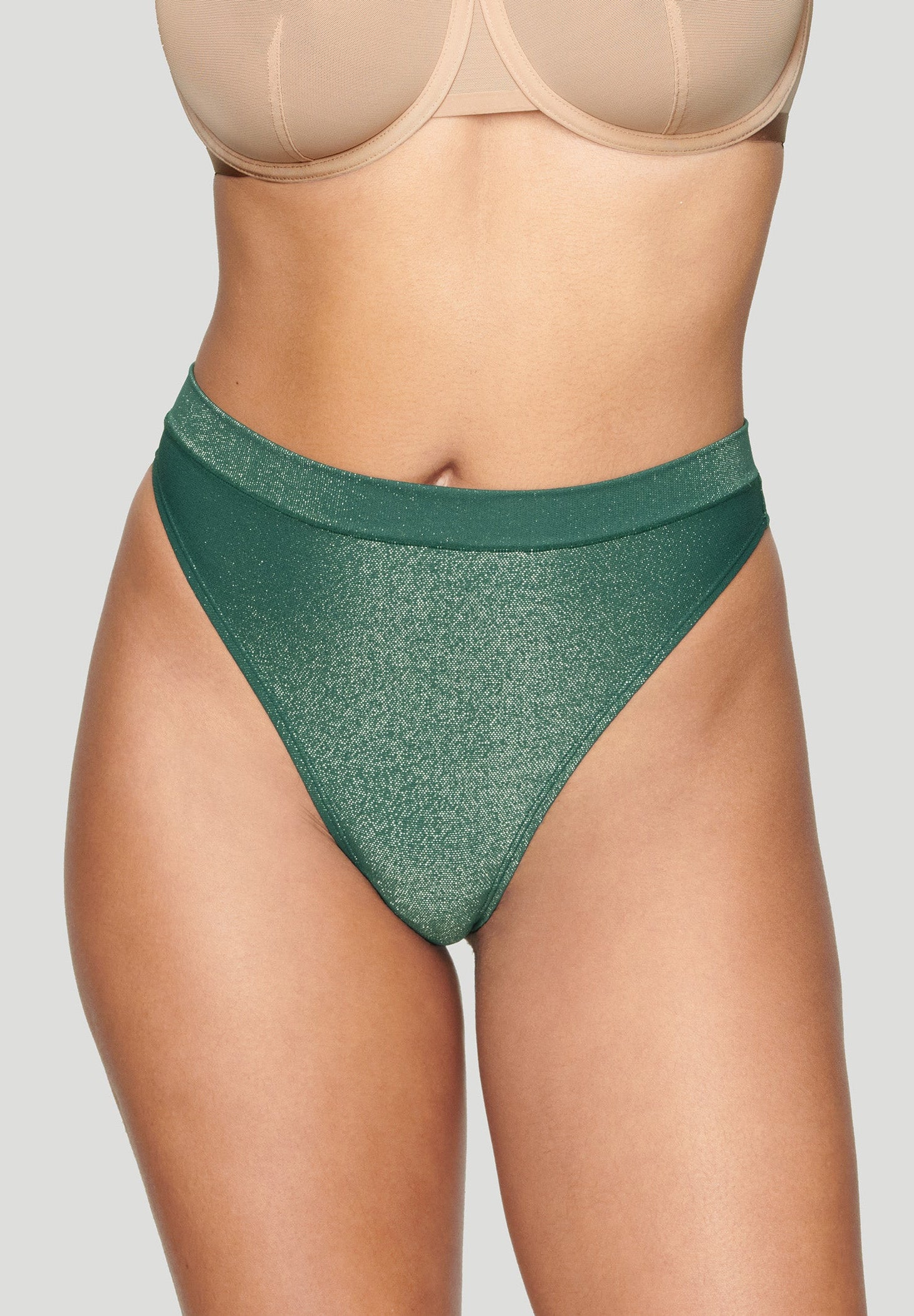 The Highwaist Thong - Lurex image number 0