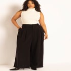 Pleat Front Wide Leg Trouser image number null