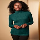 Ribbed Cotton Turtleneck Sweater image number null
