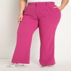 Pleat Front Pant image number null