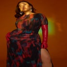 Printed Long Sleeve Mesh Dress With Slit image number null