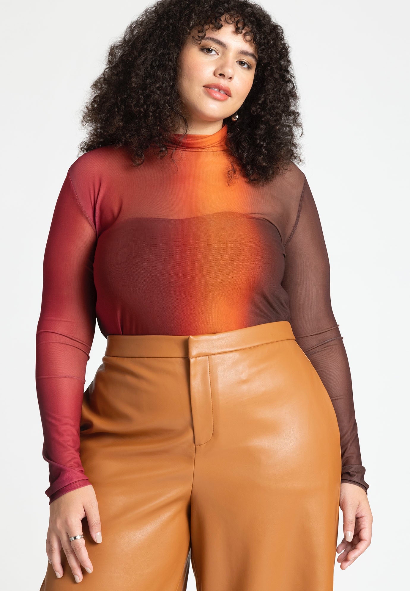 Mesh Turtleneck image number 0