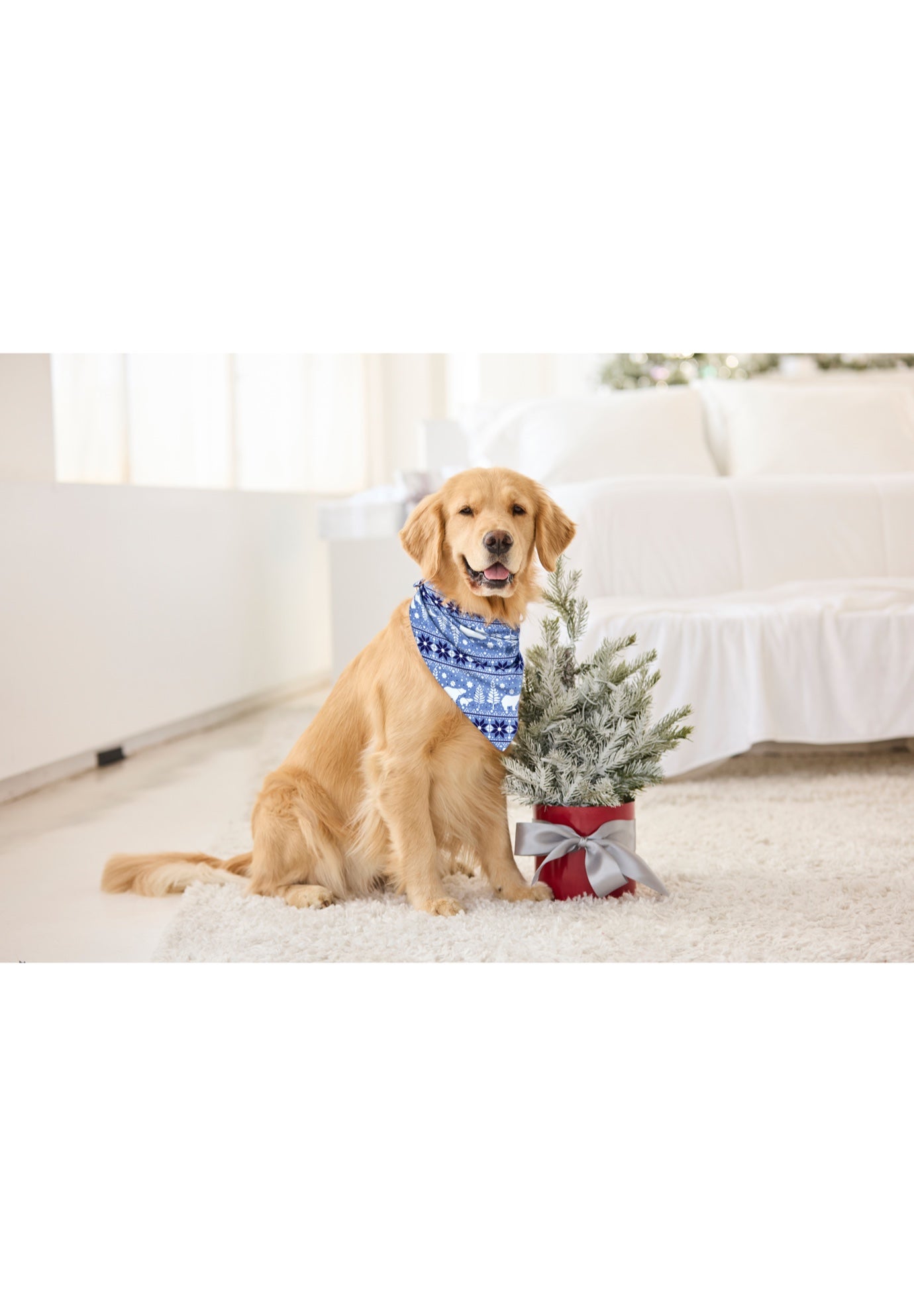 Pet Scarf image number 1