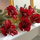 Amaryllis Clips, Set of 6 image number null