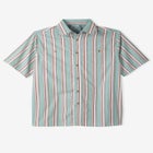 Wrinkle-Resistant Short Sleeve Button Down image number null
