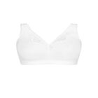 Comfort Cotton Wire Free Lace Bra image number null