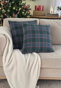 Set of 2 Decorative Pillows, 20" x 20