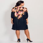 Lily Placement Dress image number null