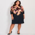 Lily Placement Dress image number null