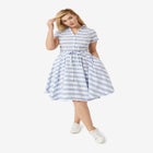 Sandy Shirtwaist Dress image number null