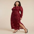 Velvet Burnout Maxi Dress image number null