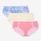 Full Coverage Microfiber Panty 3-Pack image number 0
