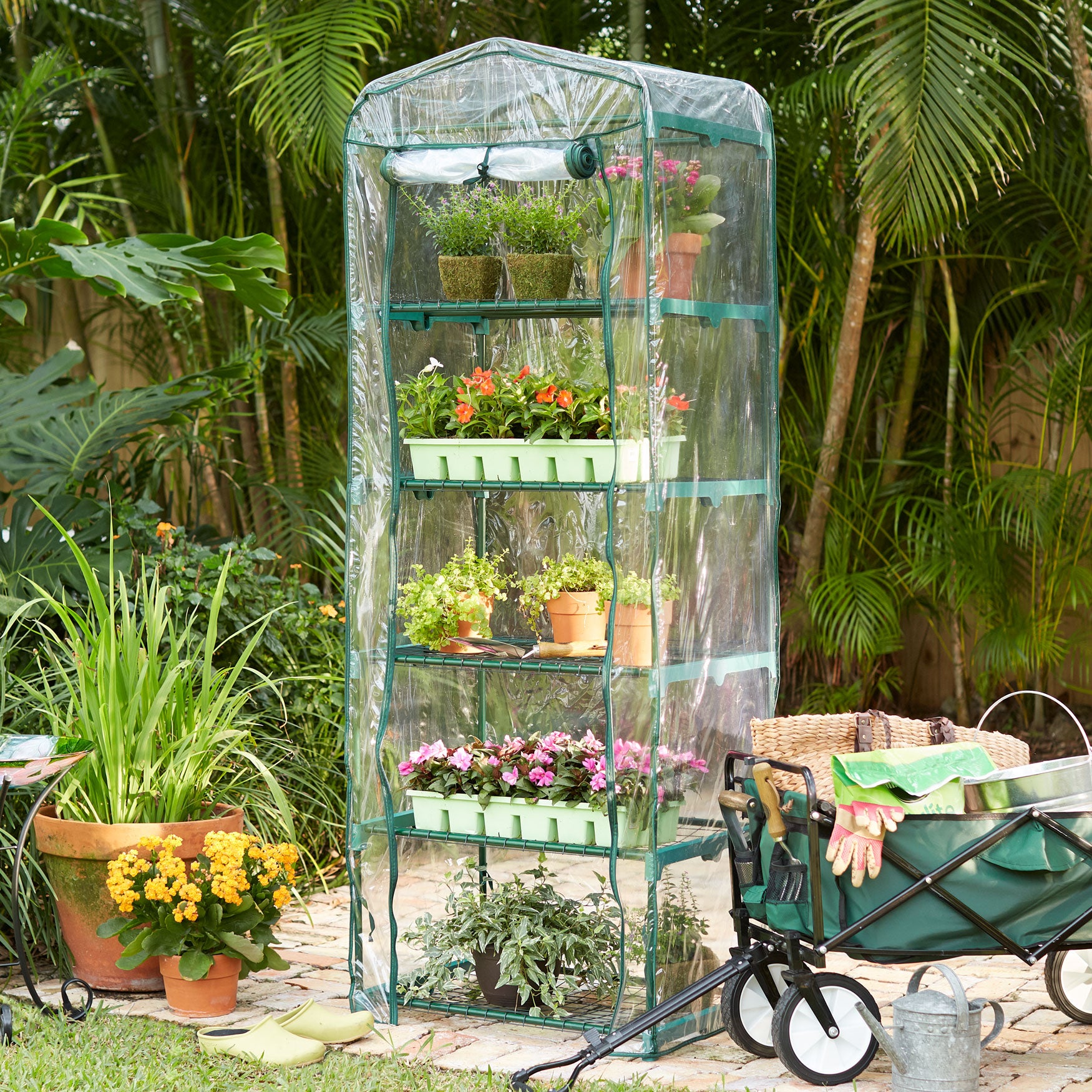 5Shelf Mini Greenhouse with Cover Fullbeauty Outlet