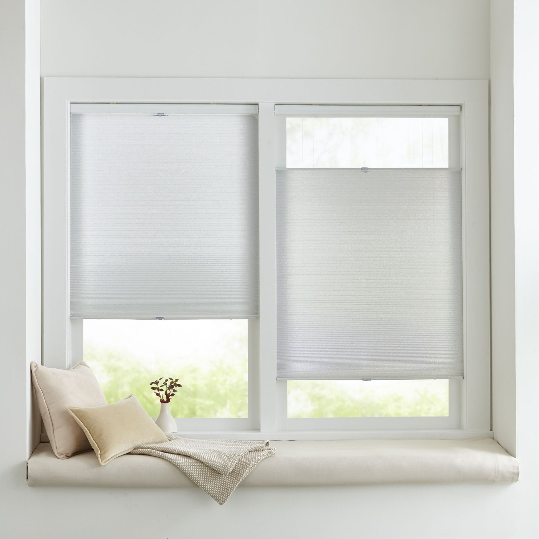 Cordless Top Down Cellular Shade Fullbeauty Outlet