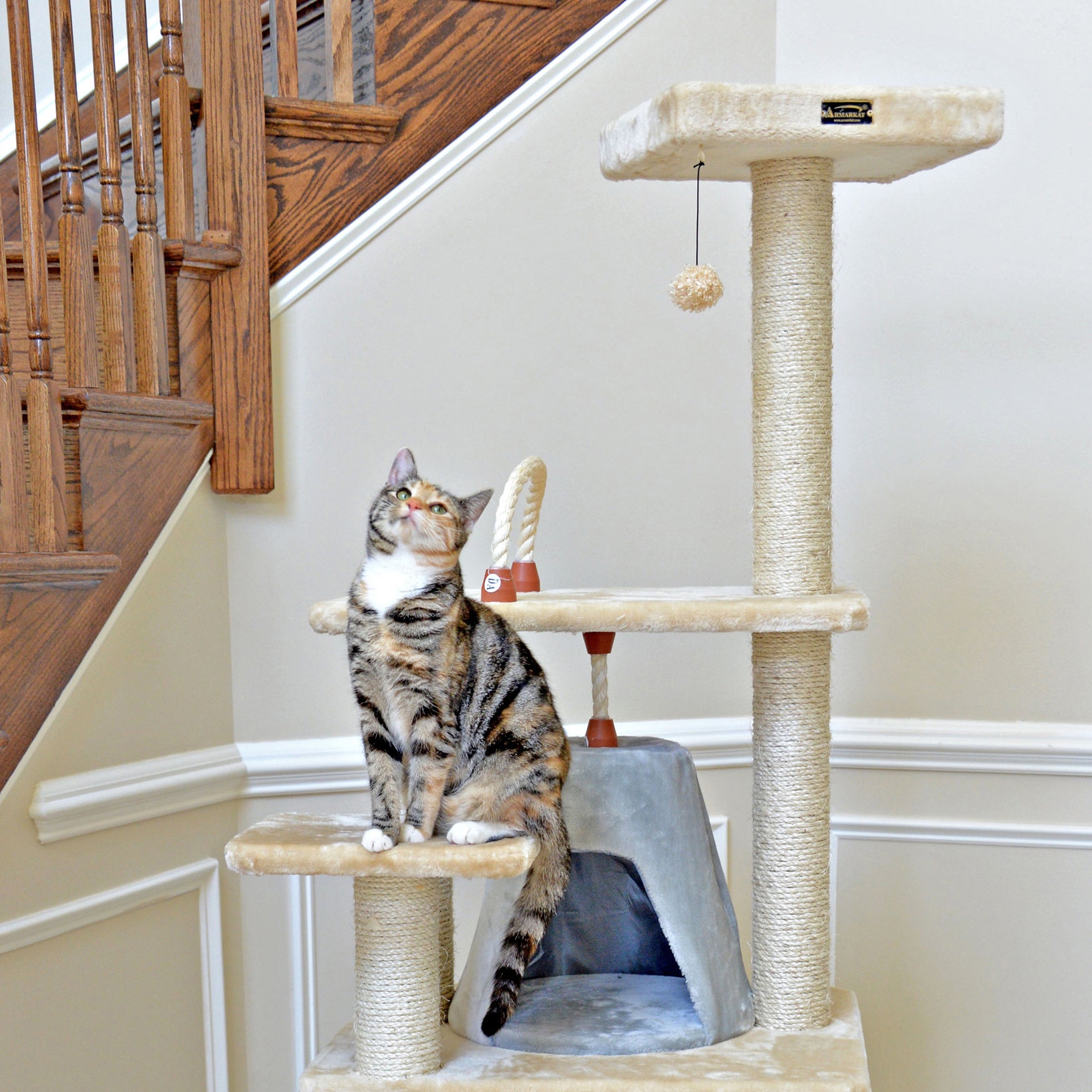 65" Pet Cat Tree With Sisal Rope Fullbeauty Outlet